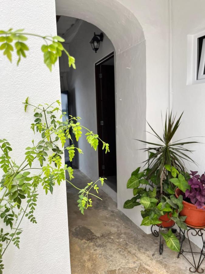 Apartamento 29 أركوس ديلا فرونتيرا المظهر الخارجي الصورة